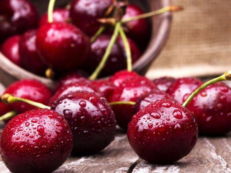 Вишня купить саженцы из питомника в Сызрани