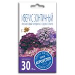 Семена Иберис Зонтичный " Фиолетовый Кординал" (однолетник)